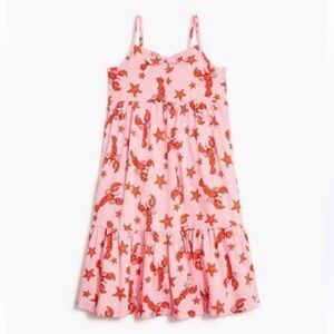 Crewcuts factory dress 🦀